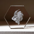 Hexagon Crystal Photo Plaque - personalized by NewMX LLC, Santa Fe NM